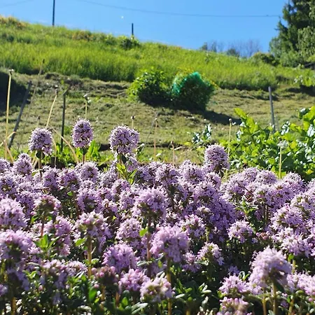 Am Huthainberg * Bornichen