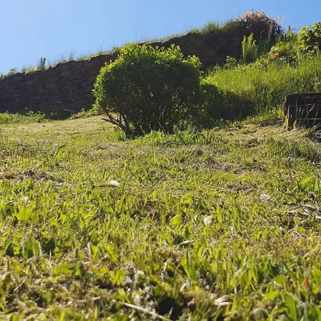 Apartment Am Huthainberg Bornichen