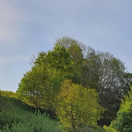 Am Huthainberg Апартаменты Bornichen