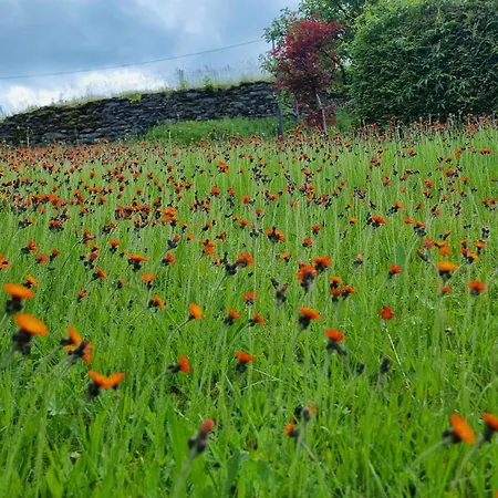 Am Huthainberg Апартаменты *