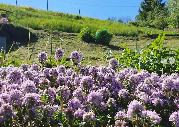 Am Huthainberg * Bornichen