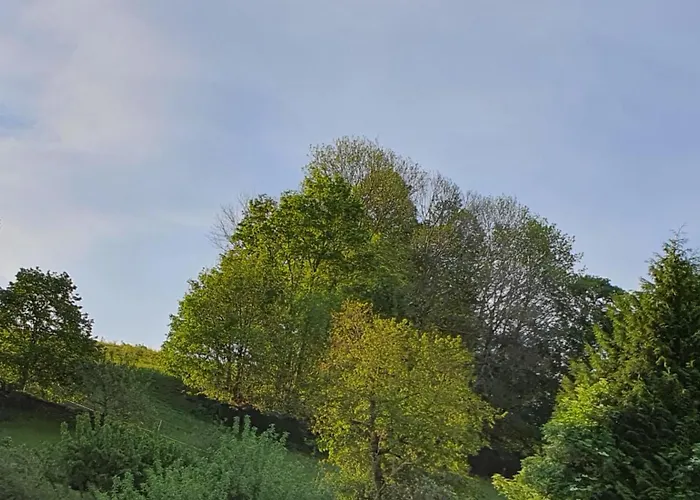 Am Huthainberg Apartamento Bornichen