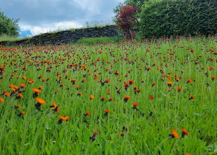 Am Huthainberg Apartamento *